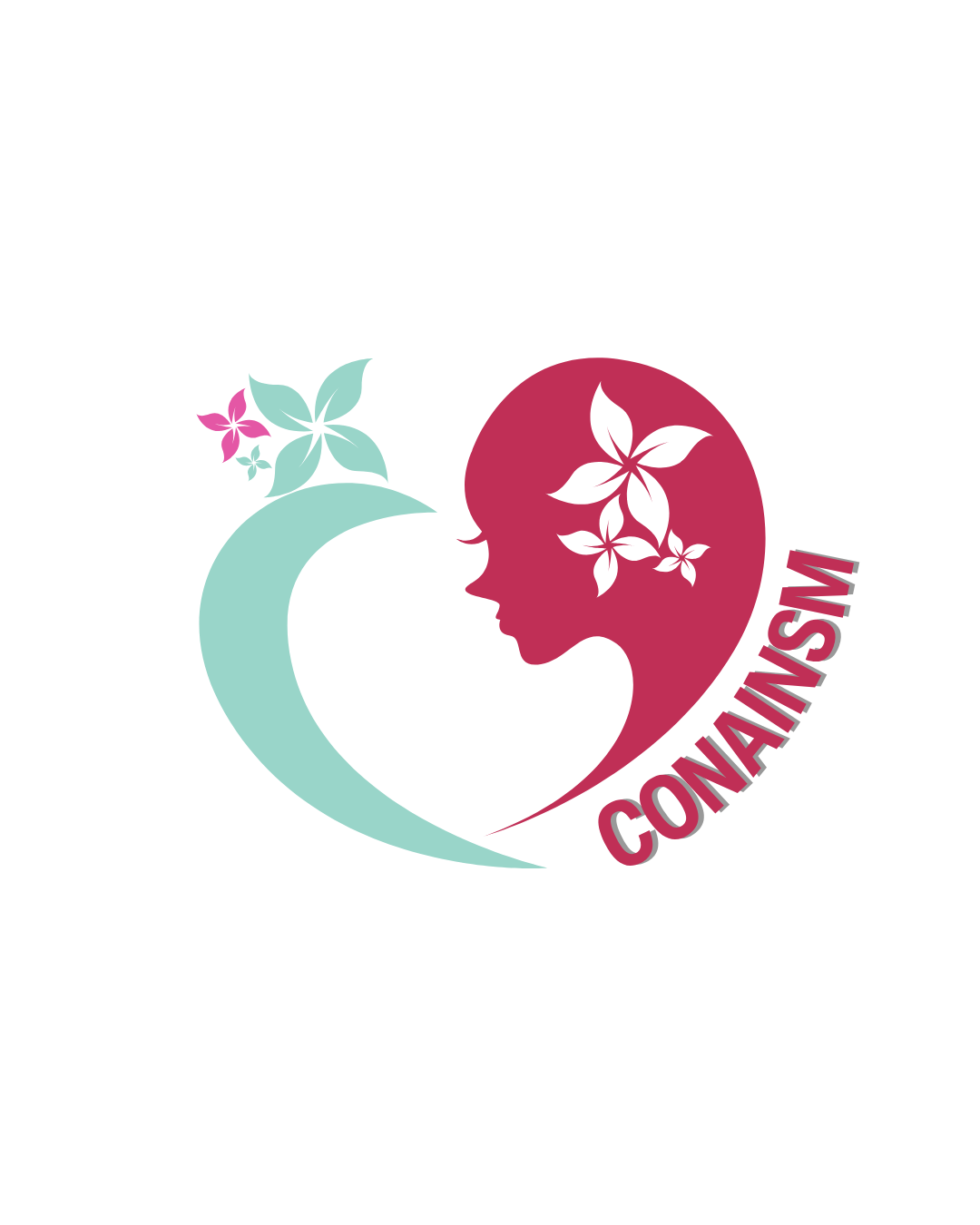 Logo CONAINSM